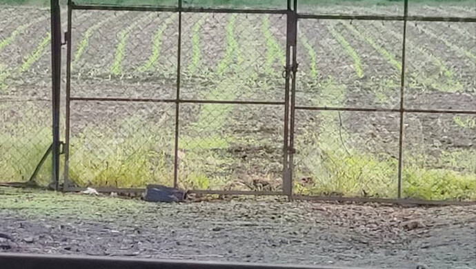 30. kép | Eladó Családi ház, Mesztegnyő (#177816)