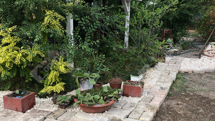 18. kép | Eladó Zárt kert, Szatymaz (#172857)