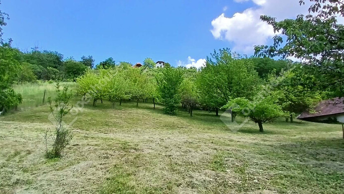2. kép | Eladó Telek, Zalaegerszeg (#182103)