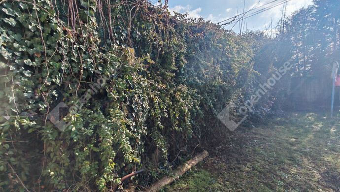 44. kép | Eladó Családi ház, Zalaegerszeg (#179672)