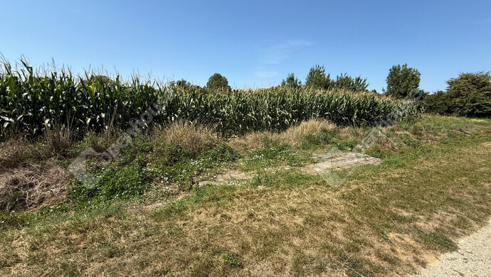 12. kép | Eladó Telek, Nagykutas (#176517)