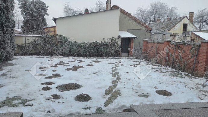 3. kép | udvar | Eladó Ikerház, Szeged (#179297)