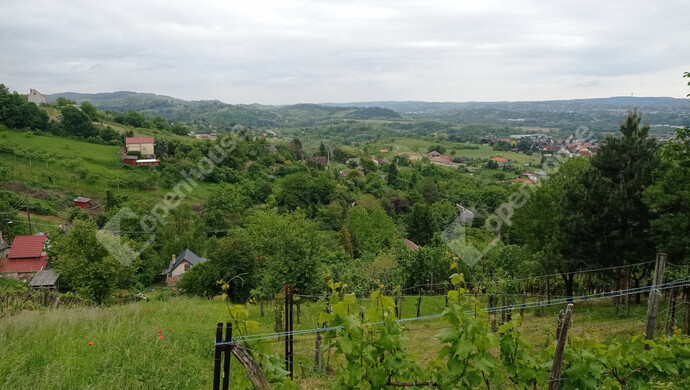 18. kép | Eladó Családi ház, Zalaegerszeg (#174946)