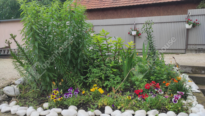 25. kép | Eladó Családi ház, Balatonföldvár (#179851)