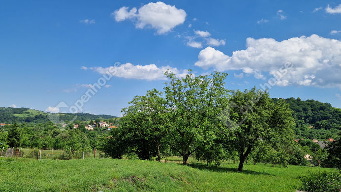 5. kép | Eladó Telek, Varbó (#169463)