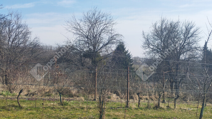 40. kép | Eladó Nyaraló, Becsehely (#180205)