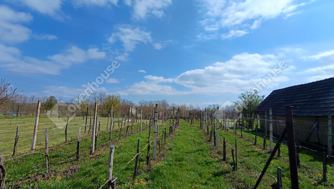 4. kép | Eladó Zárt kert, Becsehely (#181078)