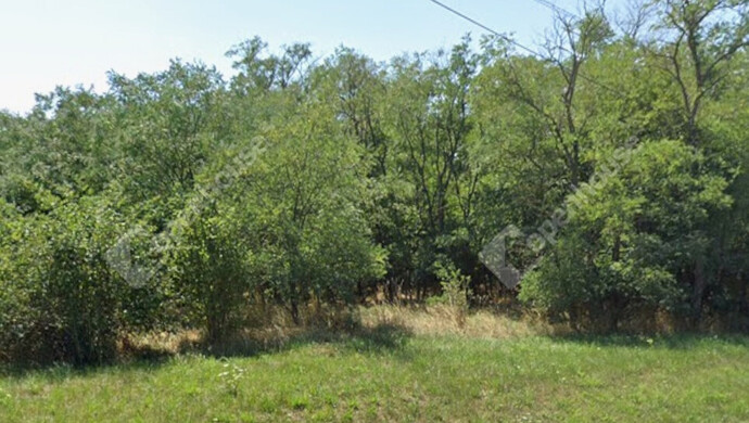 1. kép | Eladó Telek, Pápoc (#176856)