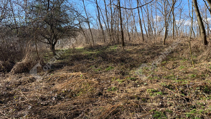 21. kép | Eladó Nyaraló, Homokkomárom (#179898)