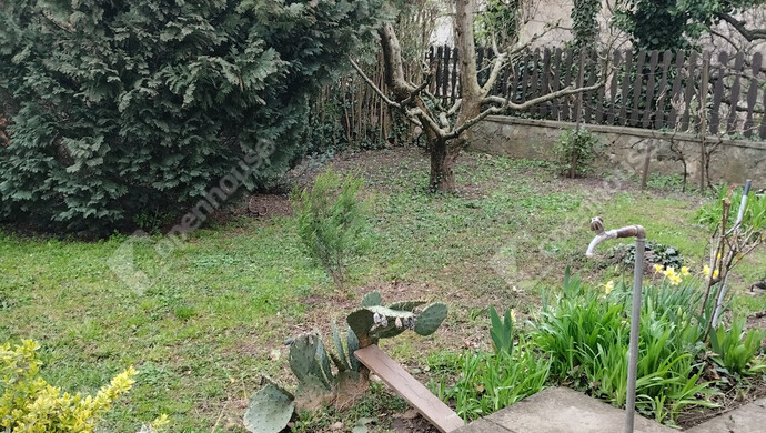 25. kép | Eladó Családi ház, Celldömölk (#180842)