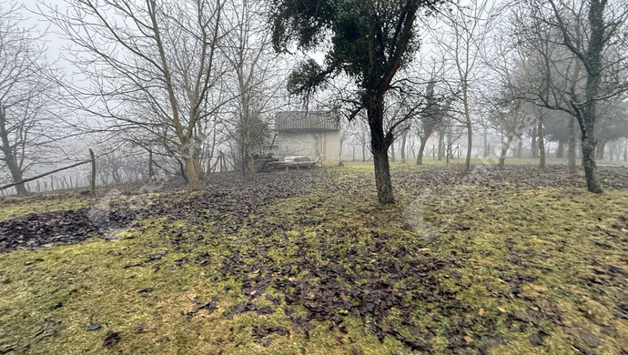 5. kép | Eladó Telek, Gyűrűs (#179594)