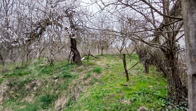 15. kép | Eladó Zárt kert, Vasvár (#180645)