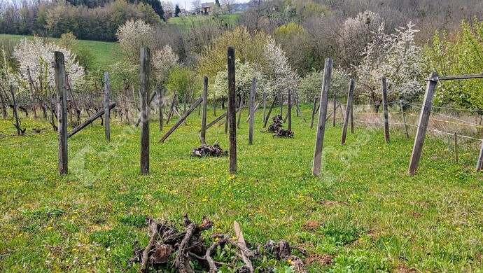 14. kép | Eladó Pince, Boncodfölde (#181048)