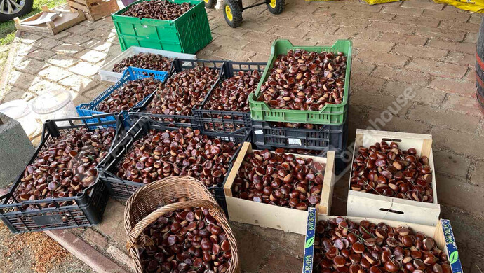 42. kép | Eladó Nyaraló, Nagykanizsa (#177970)