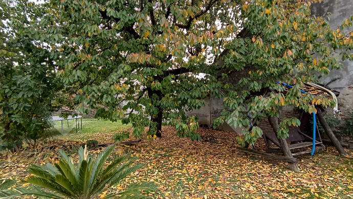 12. kép | Eladó Családi ház, Szepetnek (#178171)