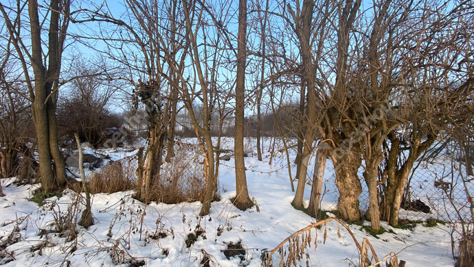 8. kép | Eladó Telek, Öreglak (#179289)