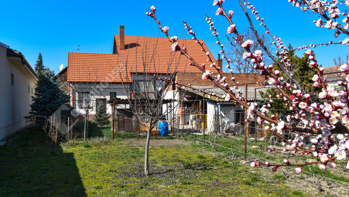 0. kép | Eladó Családi ház, Szeged (#180404)