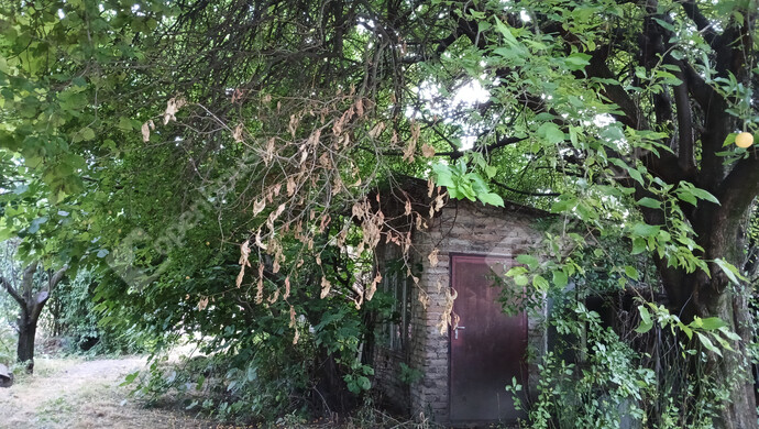 0. kép | Eladó Családi ház, Mosonmagyaróvár (#176370)