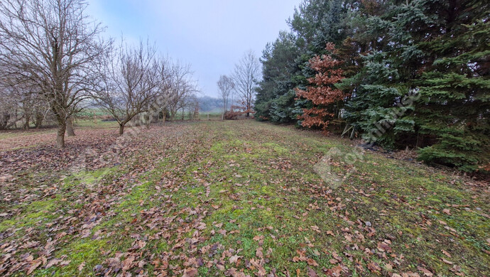 46. kép | Eladó Családi ház, Pogányszentpéter (#179139)