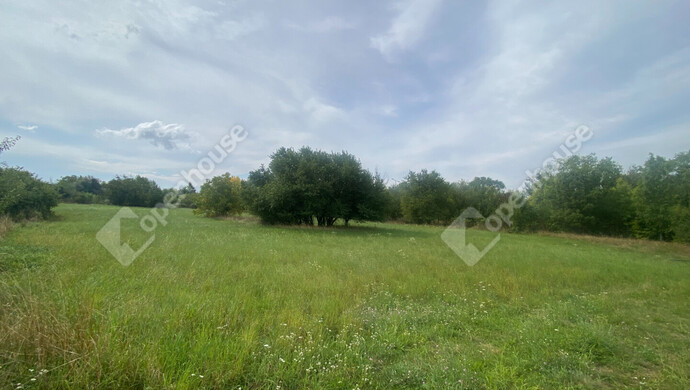 0. kép | Eladó Telek, Hegyeshalom (#176818)