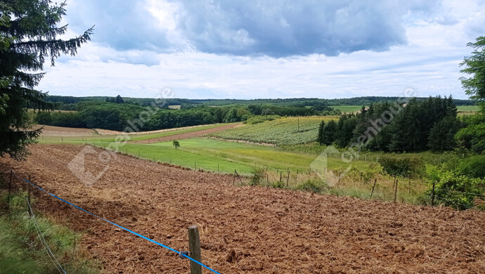 23. kép | Eladó Családi ház, Kustánszeg (#178954)