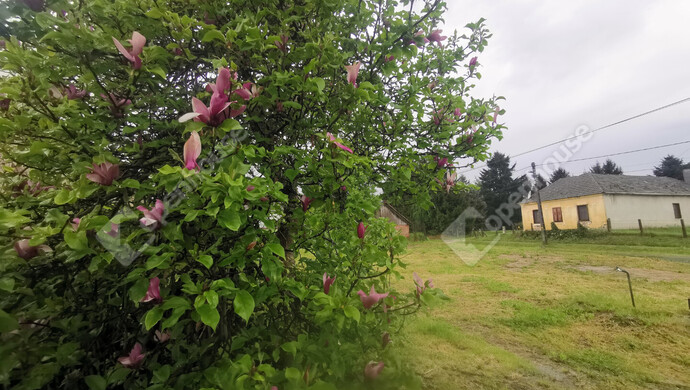 4. kép | Eladó Telek, Őrtilos (#174958)