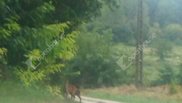 3. kép | Eladó Telek, Öreglak (#179289)