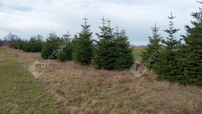 3. kép | Eladó Családi ház, Acsád (#179834)