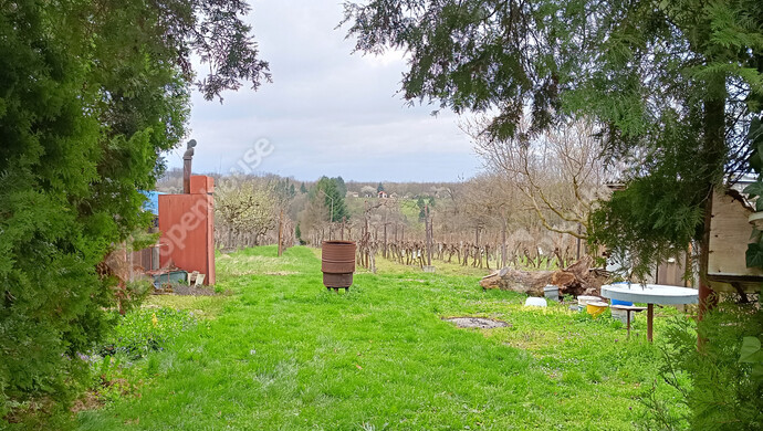 12. kép | Eladó Családi ház, Nagykanizsa (#180983)