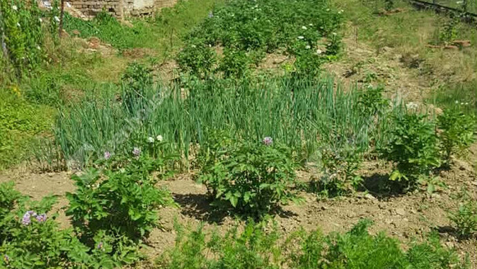 33. kép | Eladó Családi ház, Gutorfölde (#179263)