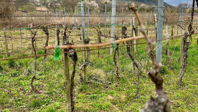 9. kép | Eladó Nyaraló, Somlóvásárhely (#178989)