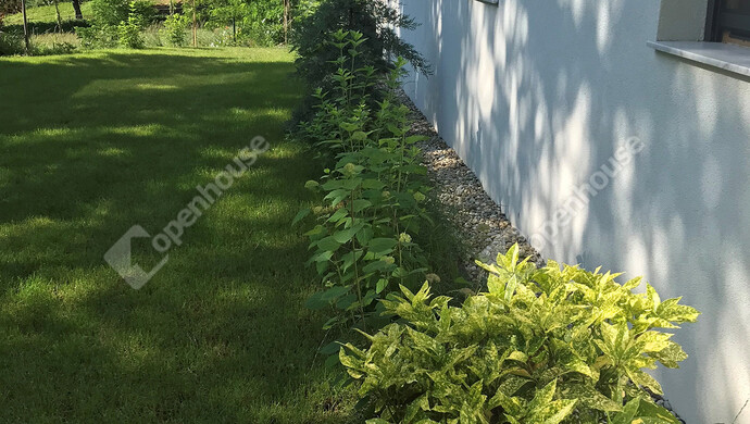 18. kép | Eladó Családi ház, Balatonföldvár (#179219)