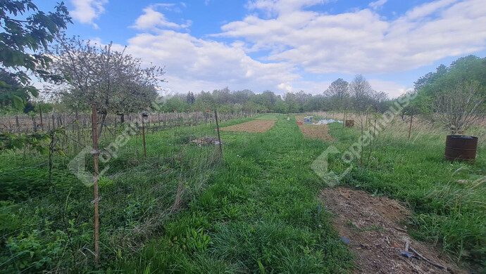 14. kép | Eladó Zárt kert, Nagyrécse (#181274)