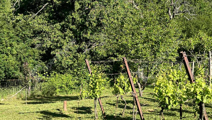 23. kép | Eladó Zárt kert, Csatár (#177399)