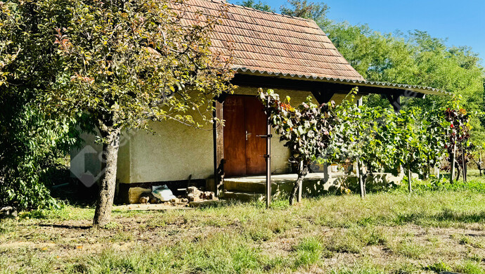 12. kép | Eladó Zárt kert, Miháld (#184303)