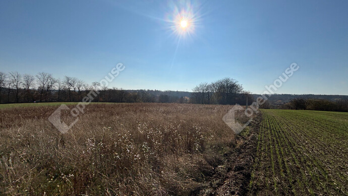 12. kép | Eladó Telek, Gomba (#178274)