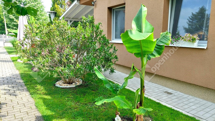 21. kép | Eladó Családi ház, Balatonföldvár (#179105)