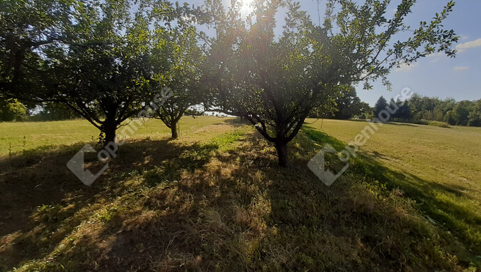 33. kép | Eladó Nyaraló, Sand (#175737)