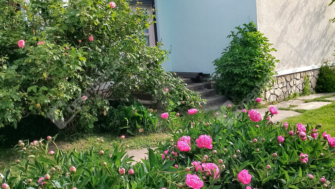 0. kép | Eladó Családi ház, Marcaltő (#177218)