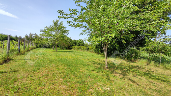 30. kép | Eladó Családi ház, Marcali (#178612)