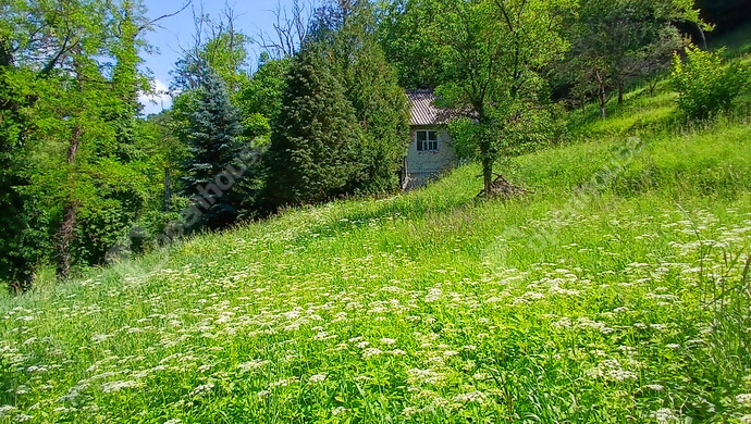 35. kép | Eladó Telek, Zalaegerszeg (#182105)