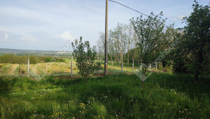 39. kép | Eladó Nyaraló, Homokkomárom (#174607)