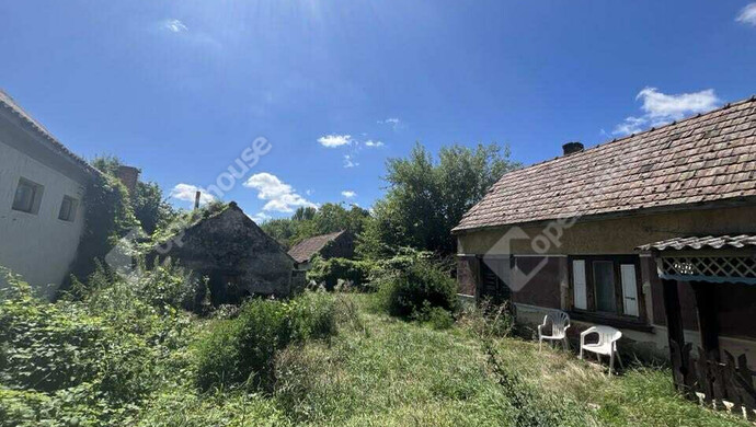 3. kép | Eladó Családi ház, Szenta (#176429)