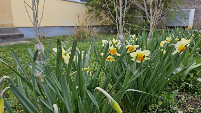 5. kép | Eladó Családi ház, Szőlősgyörök (#179158)