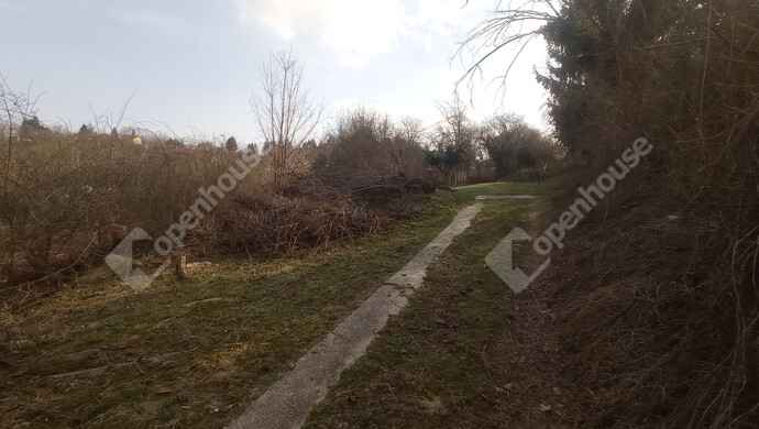 25. kép | Eladó Családi ház, Zalaegerszeg (#180616)