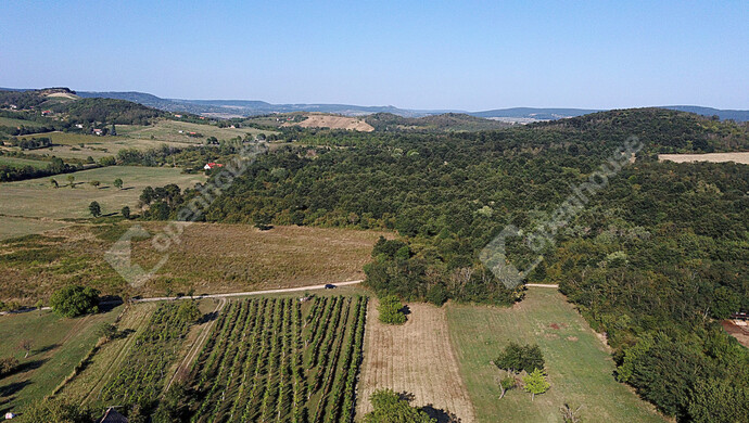 18. kép | Eladó Családi ház, Káptalantóti (#180046)