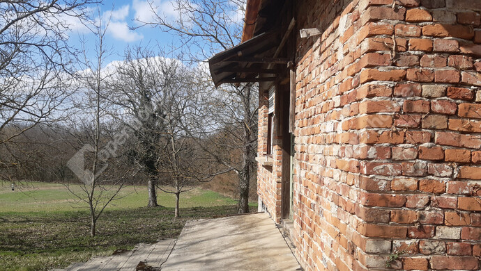 8. kép | Eladó Zárt kert, Sand (#180348)