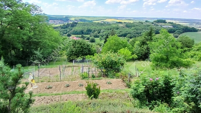17. kép | Eladó Zárt kert, Zalaegerszeg (#182256)