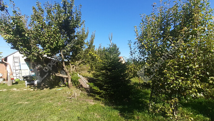 20. kép | Eladó Nyaraló, Nagykanizsa (#177111)