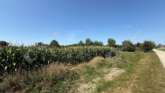 10. kép | Eladó Telek, Nagykutas (#176517)